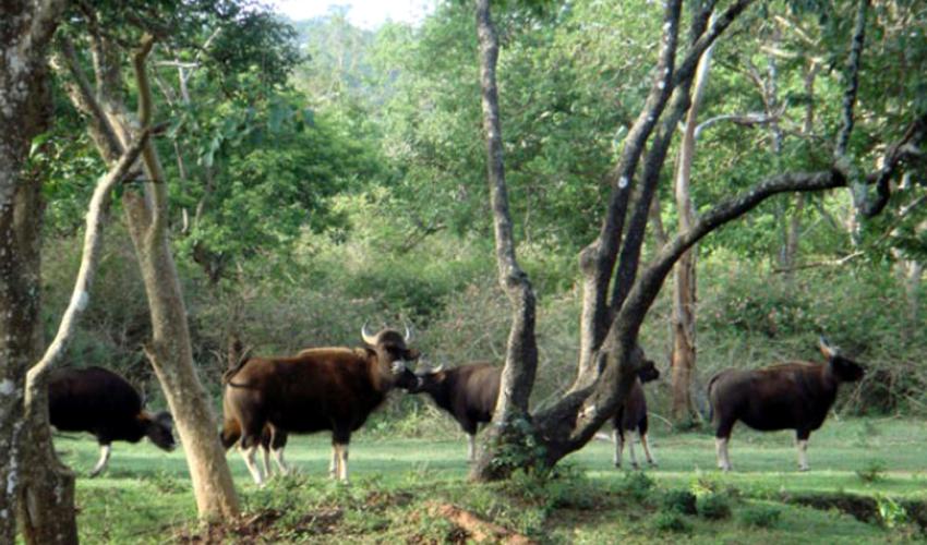 Trishna Wildlife Sanctuary