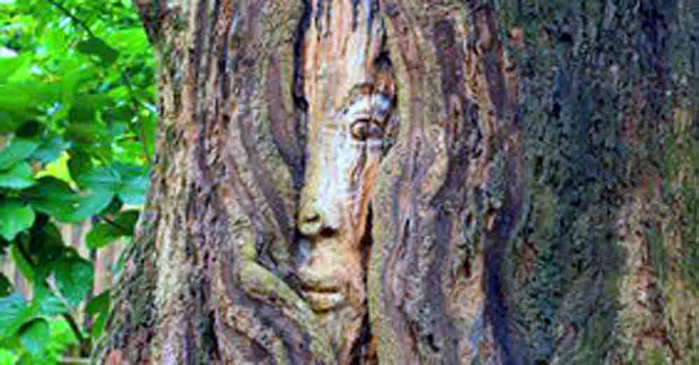 Amanda Rangsa village, West Garo Hills, Meghalaya Amanda Ran