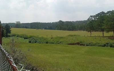 Shillong Golf Course