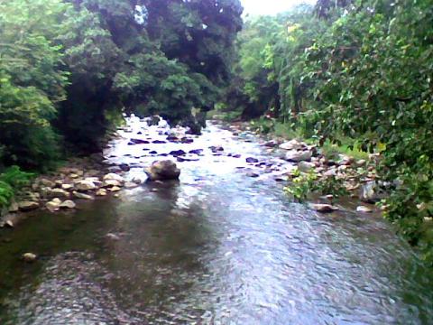 Rombagre Fish Sanctuary, Songkal Wari, Rombagre, West Garo Hills, Meghalaya