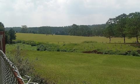 Shillong Golf Course