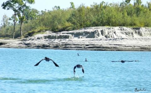 Dibru-Saikhowa National Park