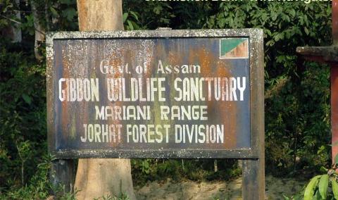 Gibbon Wildlife Sanctuary