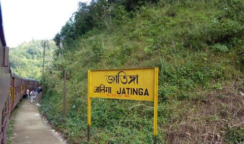 Jatinga