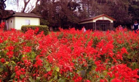 Lady Hydari Park