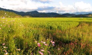 Indo – Myanmar Trek