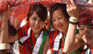 Hornbill Festival Package