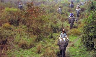 Manas National Park