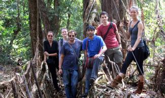 Living Root Bridges