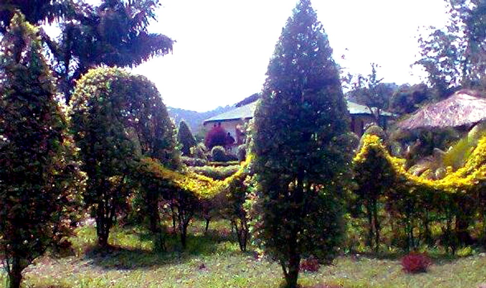 Matai Garden