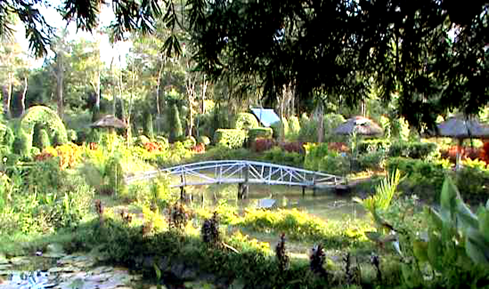 Matai Garden