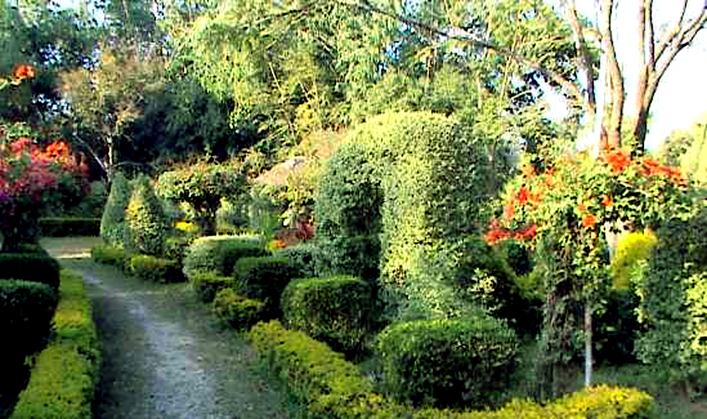 Matai Garden