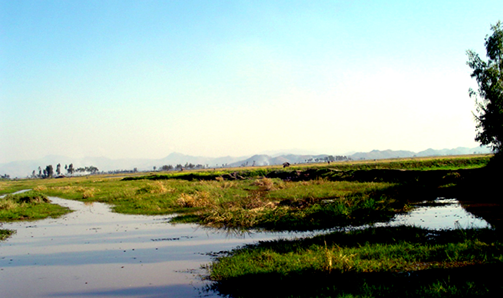 Waithou Lake