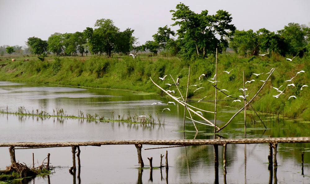 Majuli