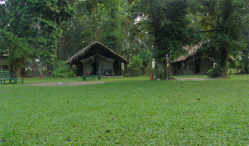 Eco Camp, Nameri