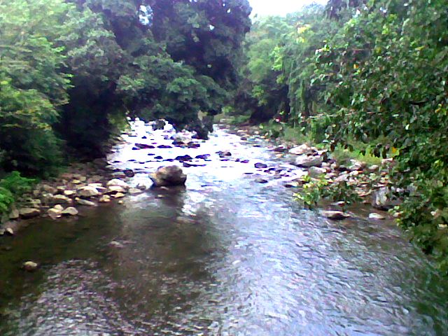 Rombagre Fish Sanctuary