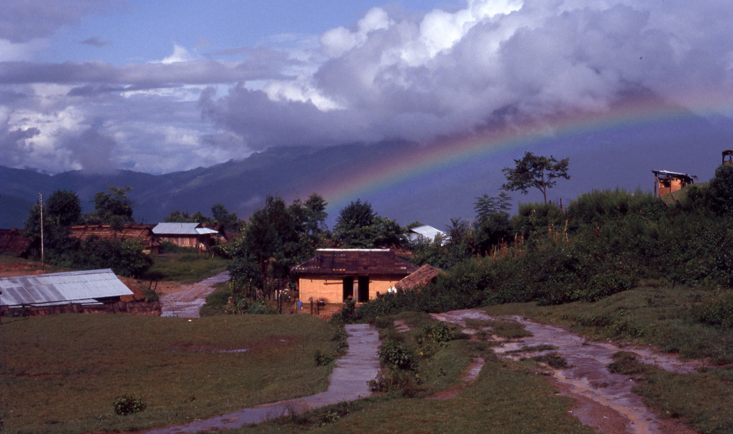 Tuensang