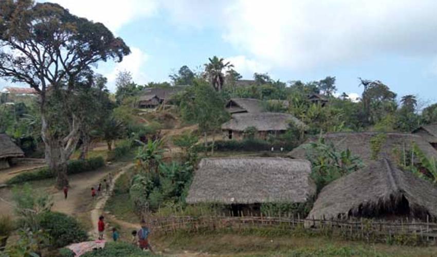 Experience the magic of Nagaland on this unforgettable 6-day trek to the breathtaking Dzukou Valley