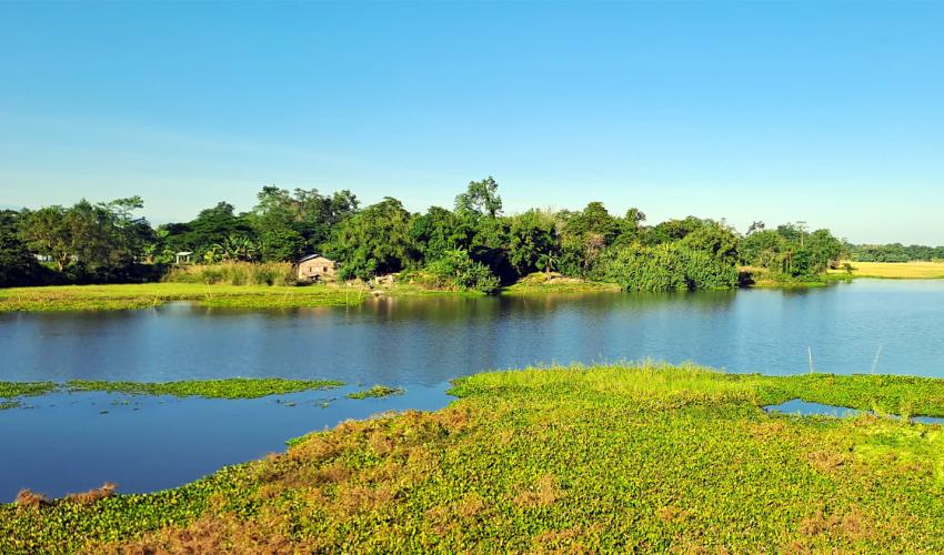 Assam: A Tapestry of Heritage and Wildlife