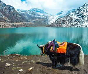 Sikkim Darjeeling Scenic Retreat