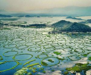 Kaziranga Kohima Imphal Tour Package (8D/7N)