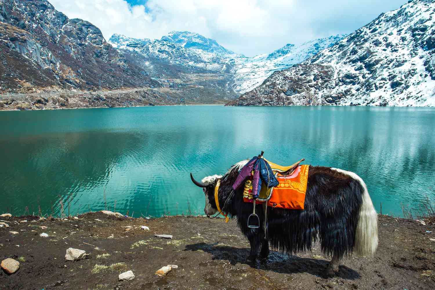 Sikkim Darjeeling Scenic Retreat