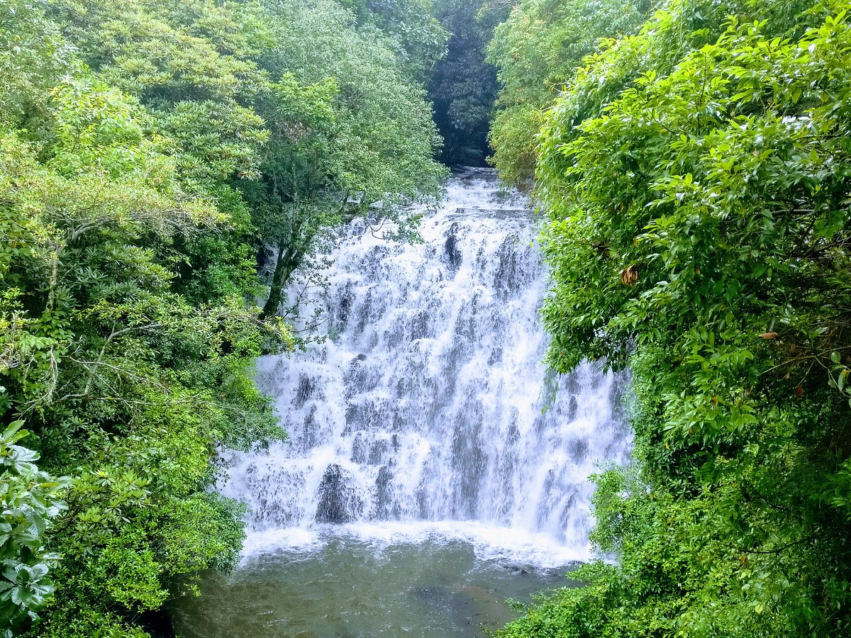 Meghalaya Kaziranga Kamakhya Journey