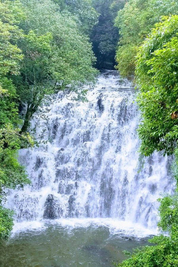 Shillong Cherrapunji Kaziranga Tour Package (6D/5N)