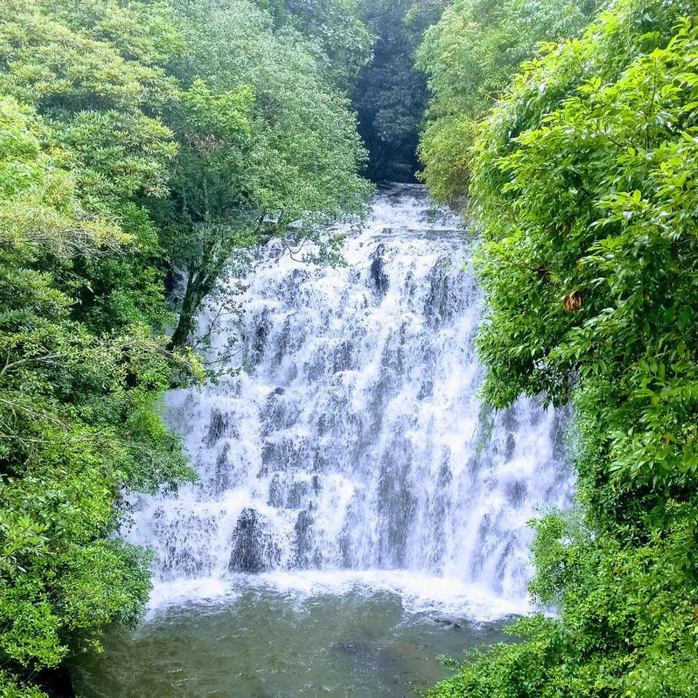 Shillong Cherrapunji Kaziranga Tour Package (6D/5N)